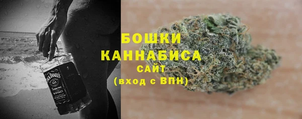 ECSTASY Вяземский