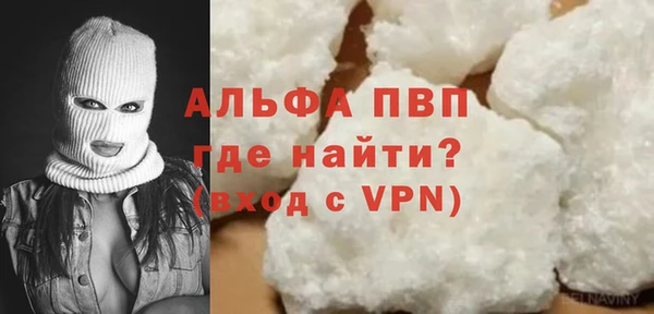 гашик Гусь-Хрустальный