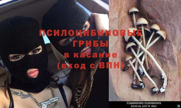 мяу мяу кристалл Гусев
