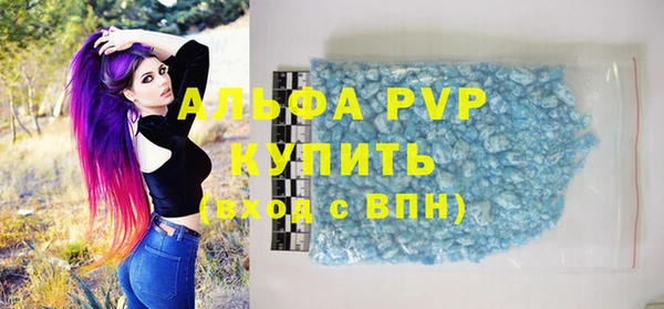 гашик Гусь-Хрустальный