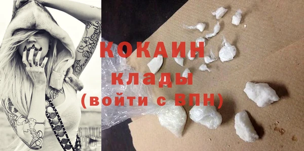 соль ск Горняк