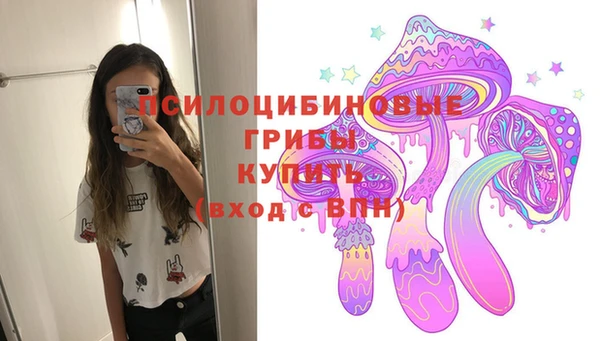 соль ск Горняк
