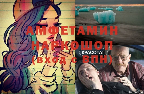 гидра Вязьма