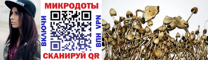 Псилоцибиновые грибы ЛСД Дубовка