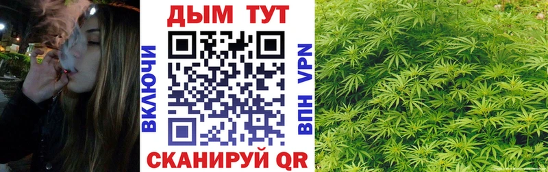 Канабис тримм Дубовка